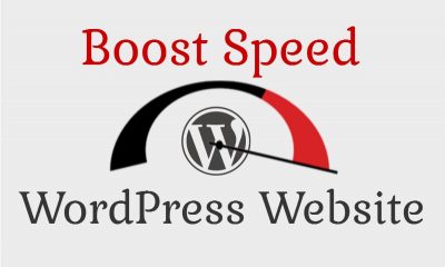 how to increase WordPress website speed without plugins